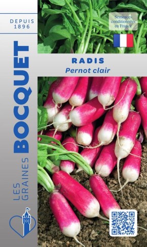 Graines de Radis Pernot clair à semer | Graines Bocquet