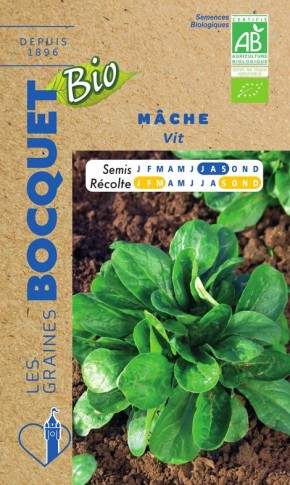 Graines de mâche vit Bio à semer au potager | Les Graines Bocquet