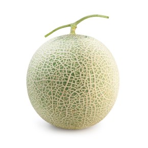 Graines de Melon sucrin de tours à semer | Les Graines Bocquet
