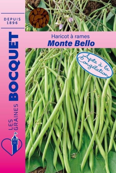 Graines de Haricot à rames Monte Bello | Les Graines Bocquet
