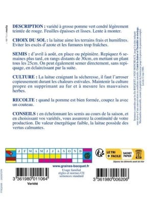 Laitue d'été du bon jardinier GROS GRAMMAGE