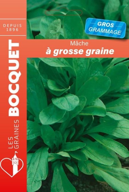 Mâche à grosse graine  | Graines Bocquet