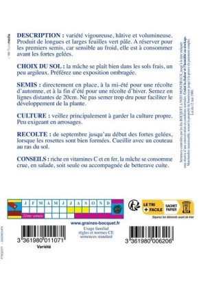 Mâche à grosse graine gros grammage