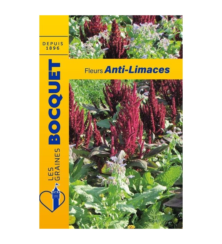 Mélange de graines de fleurs Anti-Limaces