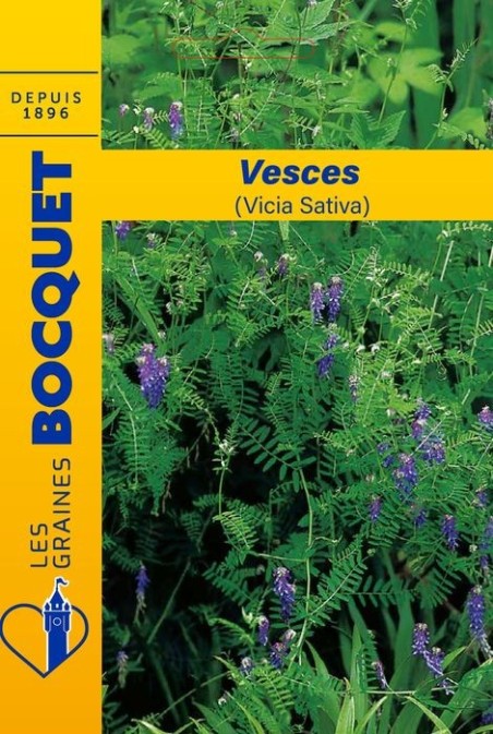 Vesce (Vicia sativa) pour 10m²