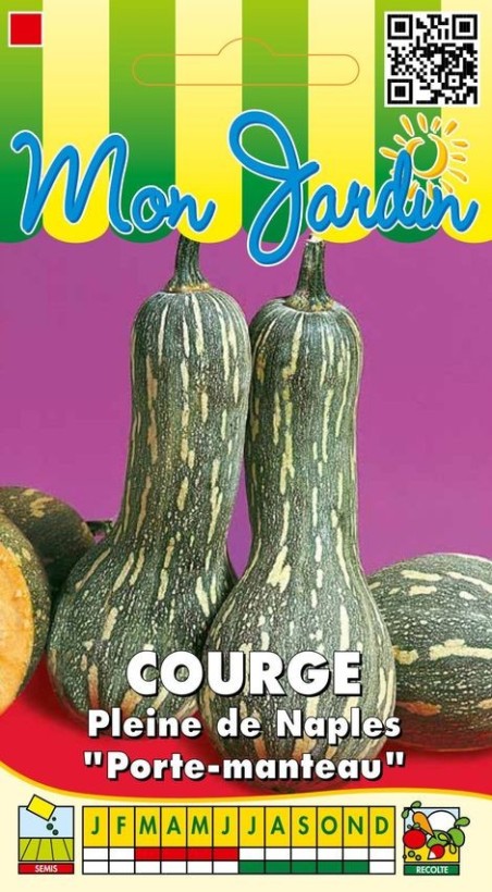 Graines de Courge pleine de Naples à semer | Les Graines Bocquet