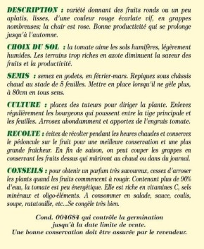 Tomate Merveille des marchés