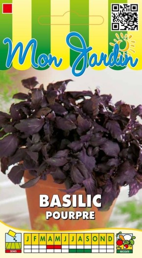Graines de Basilic Pourpre - Aromatique | Graines Bocquet