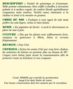 Laitue Batavia dorée de printemps