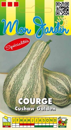 Graines de Courge Cushaw Golden à semer | Les Graines Bocquet