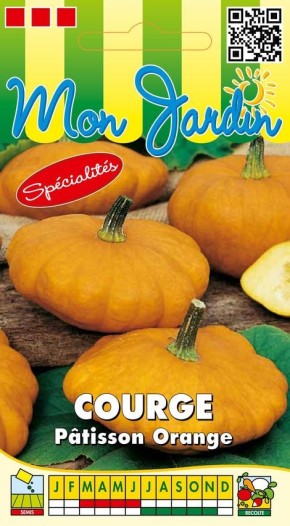 Graines de courge Pâtisson orange à semer | Graines Bocquet