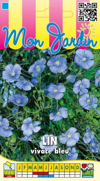 Graines de Lin vivace bleu à semer au jardin | Graines Bocquet