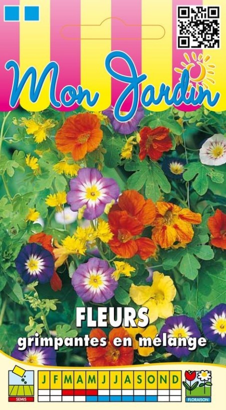 Graines de Fleurs grimpantes en mélange | Les Graines Bocquet