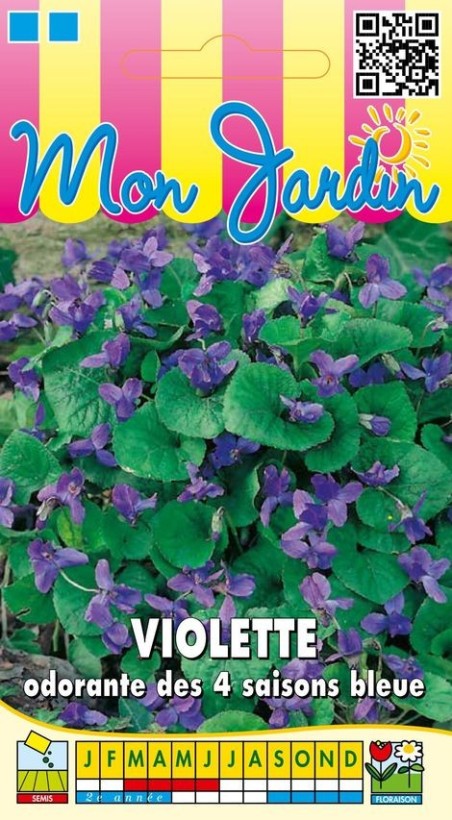 Graines de Violette odorante des 4 saisons  | Graines Bocquet