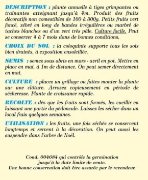 Coloquinte poire rayée