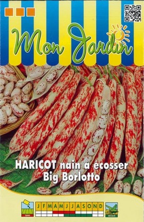 Graines de Haricot nain à écosser Big Borlotto  | Graines Bocquet