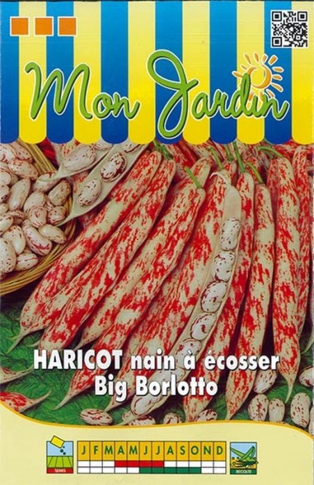 Graines de Haricot nain à écosser Big Borlotto  | Graines Bocquet