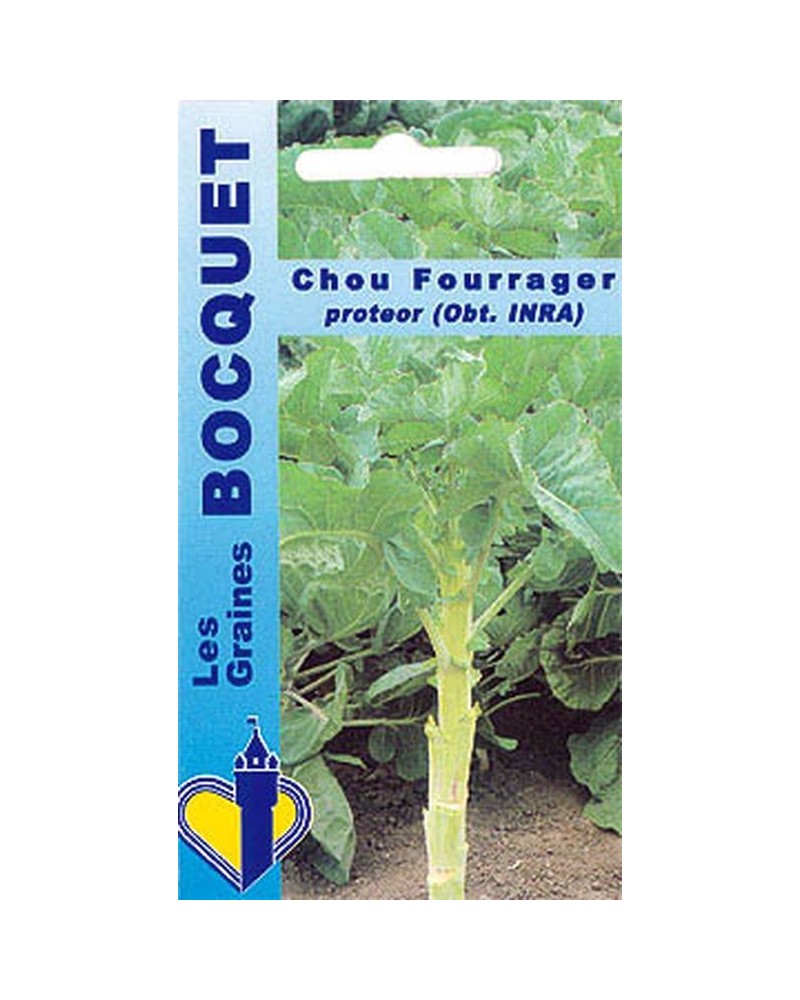 Graines de Chou Fourrager Protéor (branchu) | Graines Bocquet