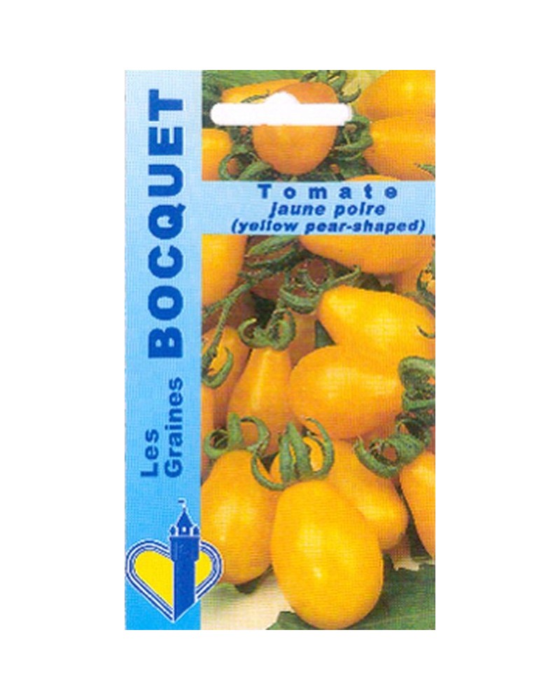 Tomate Jaune Poire Yellow Pearshaped | Les Graines Bocquet