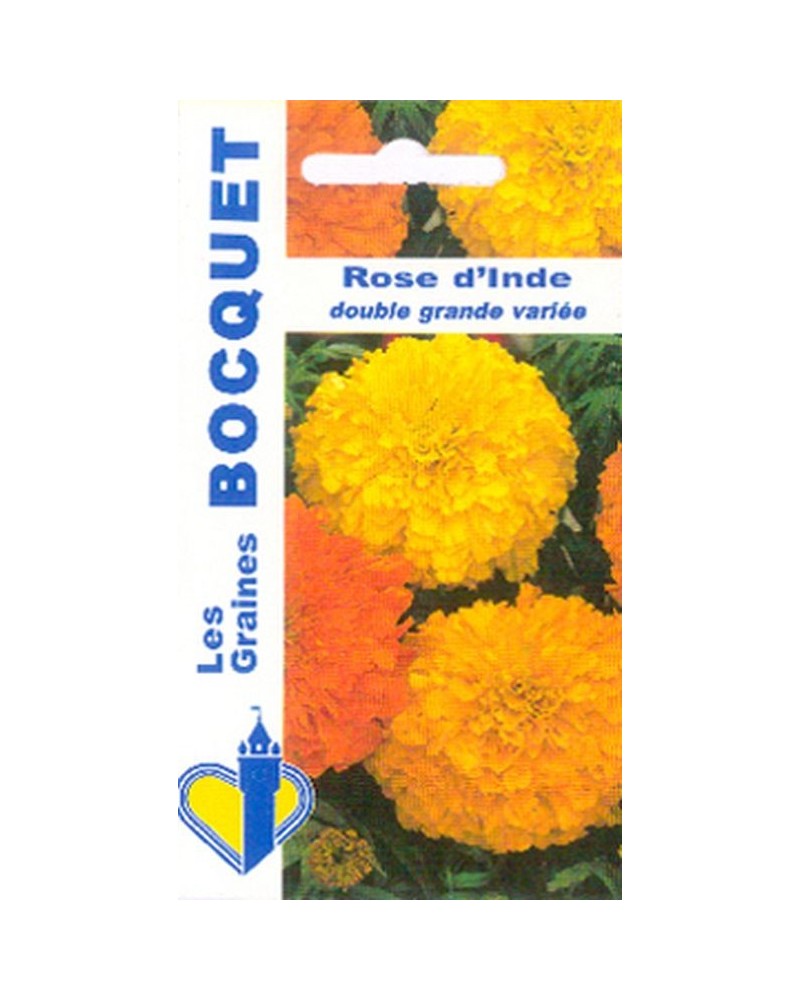 Rose d'Inde double grande variée | Graines Bocquet