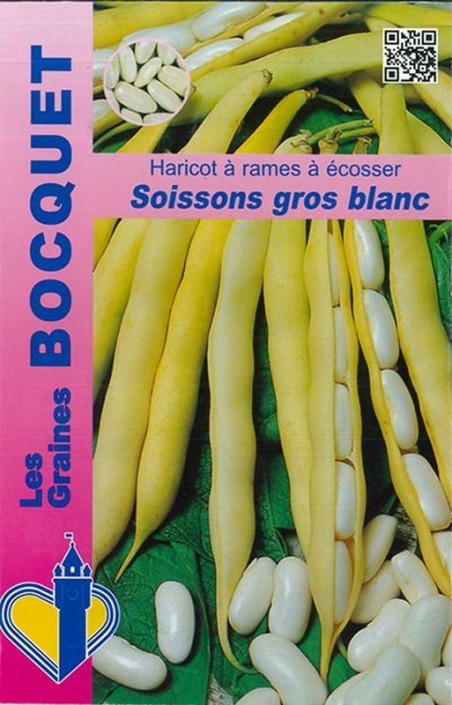 Haricot à rames Soissons gros blanc | Graines Bocquet