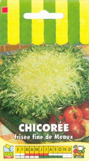 Graines Anti-Gaspi Chicorée frisée fine de Meaux | Graines Bocquet