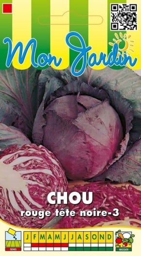 Graines Anti-Gaspi Chou rouge Tête Noire | Graines Bocquet