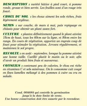 Graines Anti Gaspi-Chou rouge tête noire-3