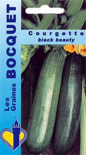Graines de Courgette Black Beauty à semer | Graines Bocquet