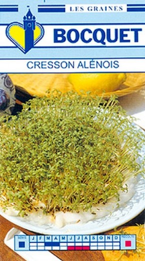 Graines de Cresson Alénois Commun à semer | Graines Bocquet