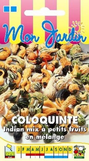 Coloquinte Indian Mix petits fruits | Graines Bocquet