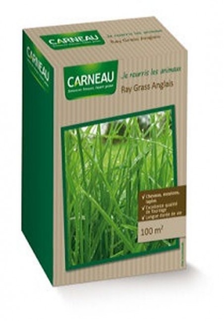 Graines fourragères Ray Grass anglais  | Graines Bocquet