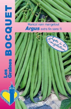 Graines de Haricot Vert Nain Mangetout Argus  | Graines Bocquet
