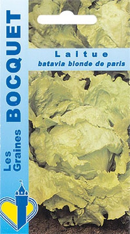 Graines de Laitue batavia blonde de Paris | Les Graines Bocquet