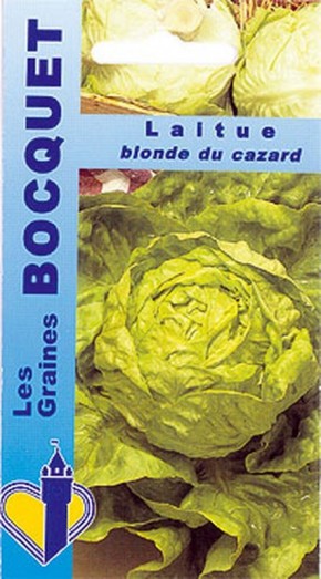 Laitue d'été blonde du Cazard | Graines Bocquet