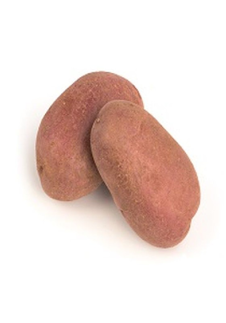 Pomme de terre Cheyenne Pomme de terre Cheyenne