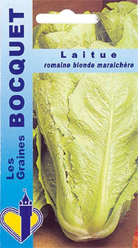 Graines de Laitue Romaine Blonde Maraîchère | Les Graines Bocquet