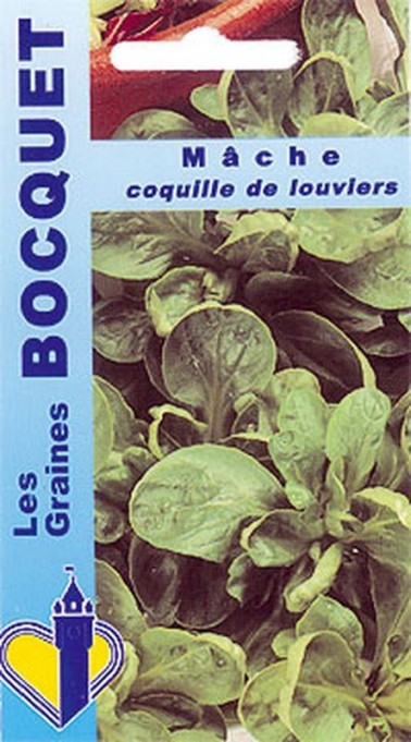 Graines de mâche Coquille de Louviers à semer | Graines Bocquet
