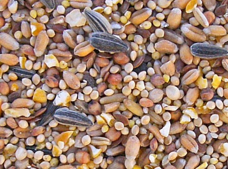 Oiseaux du ciel sac de 5kg Oiseaux du ciel sac de 5kg