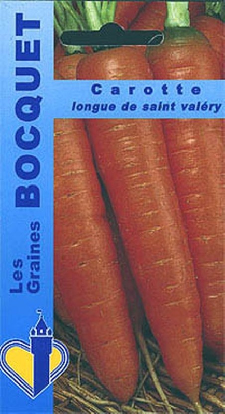 Carotte longue de Saint Valéry