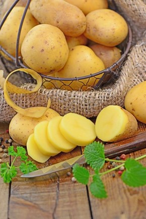 Plants de pommes de terre Blanche à planter| Graines Bocquet