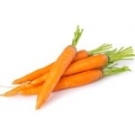 Graines de carottes à semer au potager | Graines Bocquet