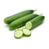 Concombre