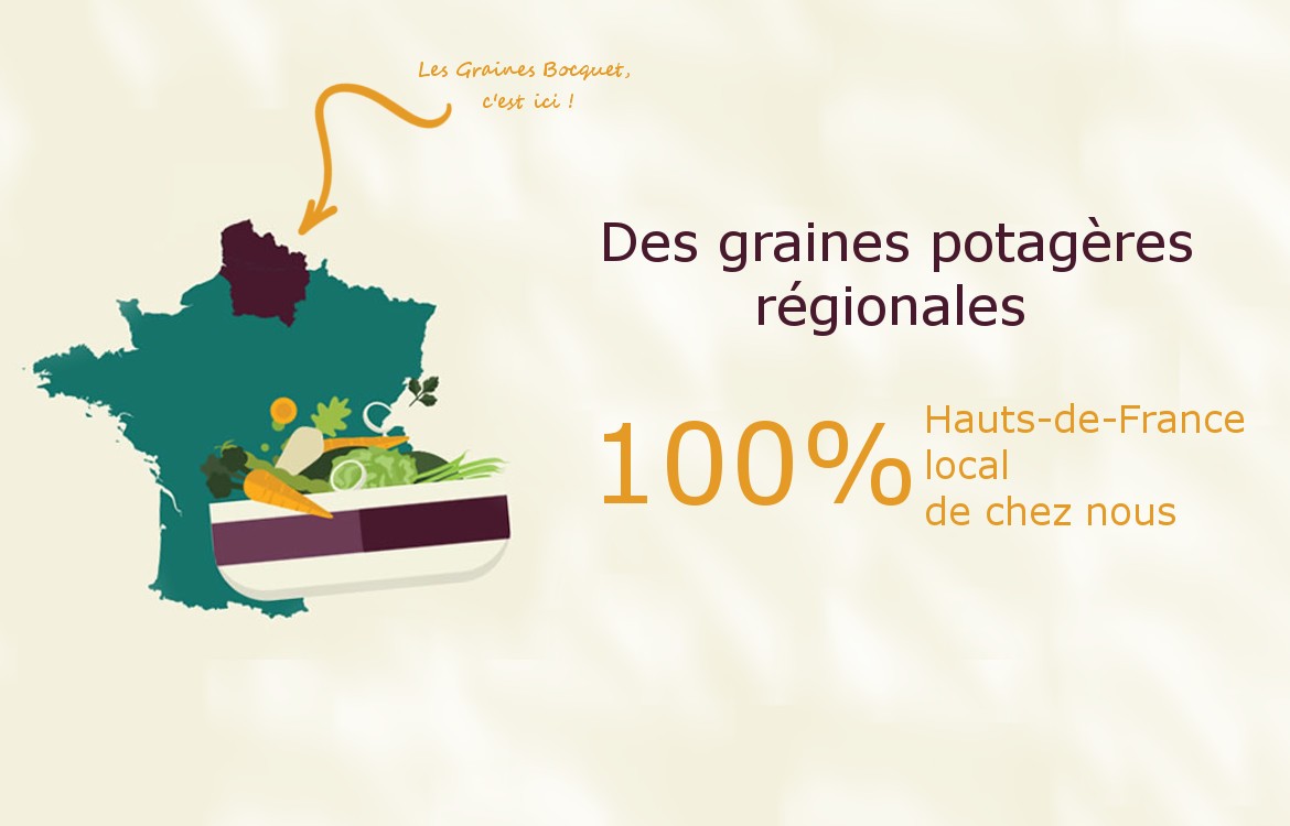 Semez des graines potagères régionales des Hauts de France avec les Graines Bocquet !