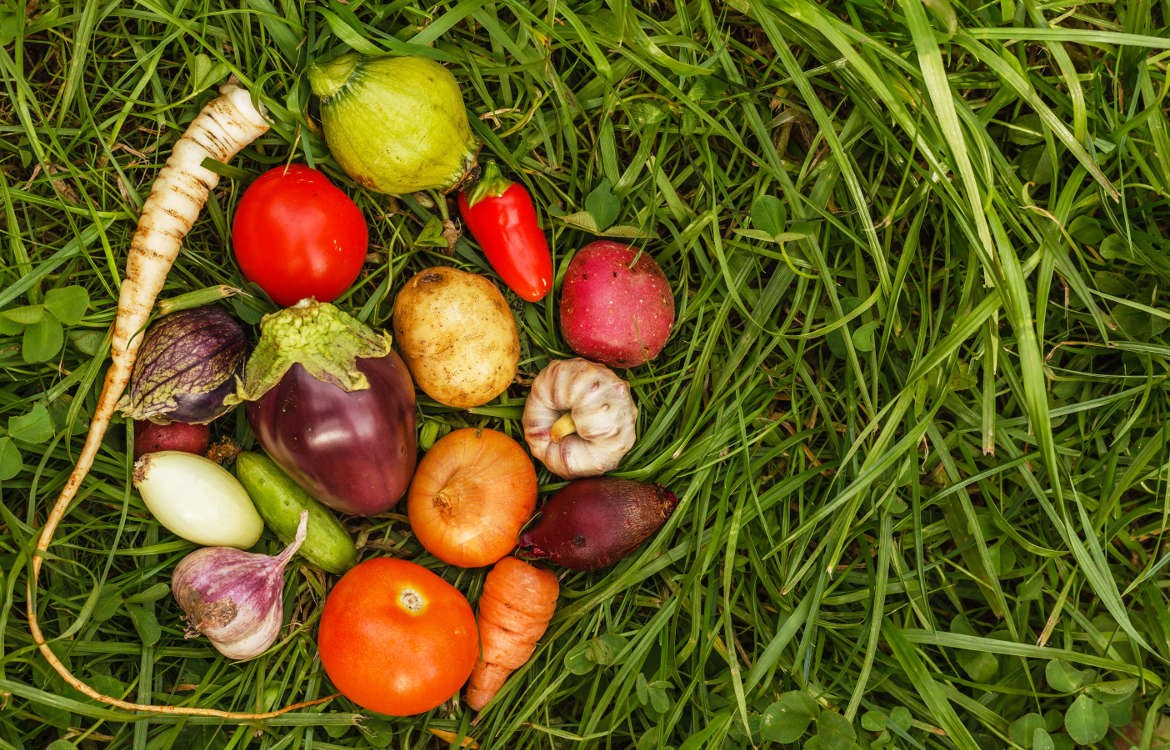 Cultiver des mini-légumes 