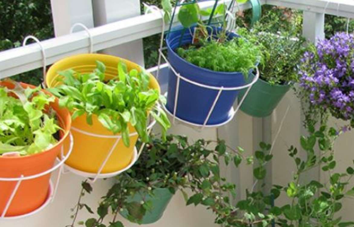 Conseils jardinage. Un jardin miniature sur son balcon