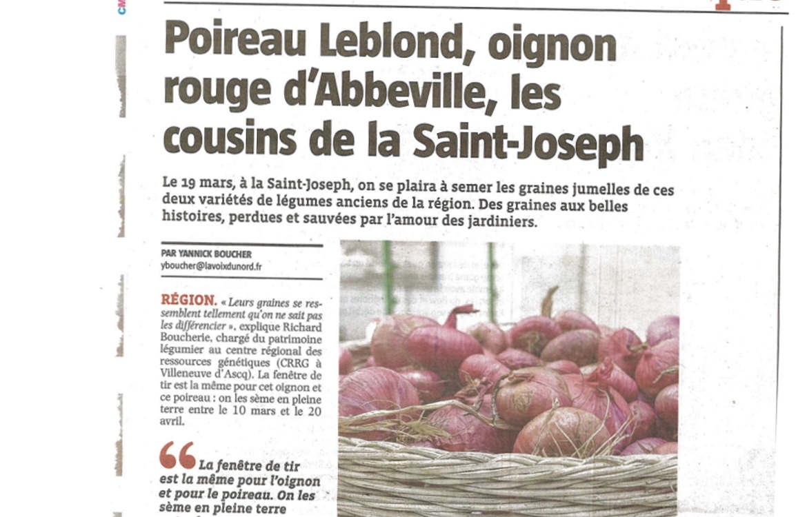 On parle des graines de Poireau Leblond et de l'Oignon rouge d'Abbeville !
