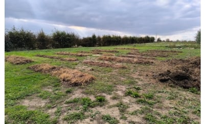 Jardin d’essai Les Graines Bocquet x Autonomie Potagère : enrichir le sol avec du fumier, une étape clé pour nourrir la terre