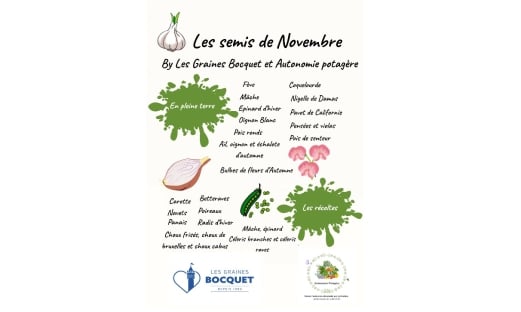 Semis de graines en novembre – Pour un potager naturel et autonome