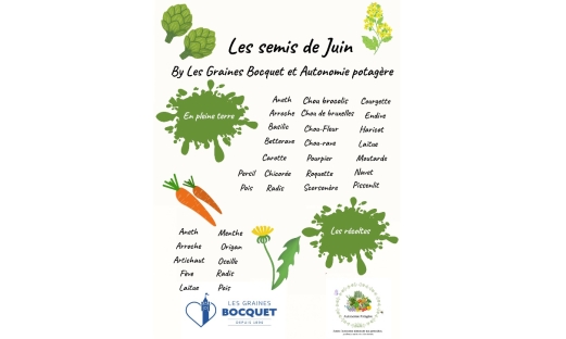 Calendrier de semis du mois de Juin par les Graines Bocquet et Autonomie potagère